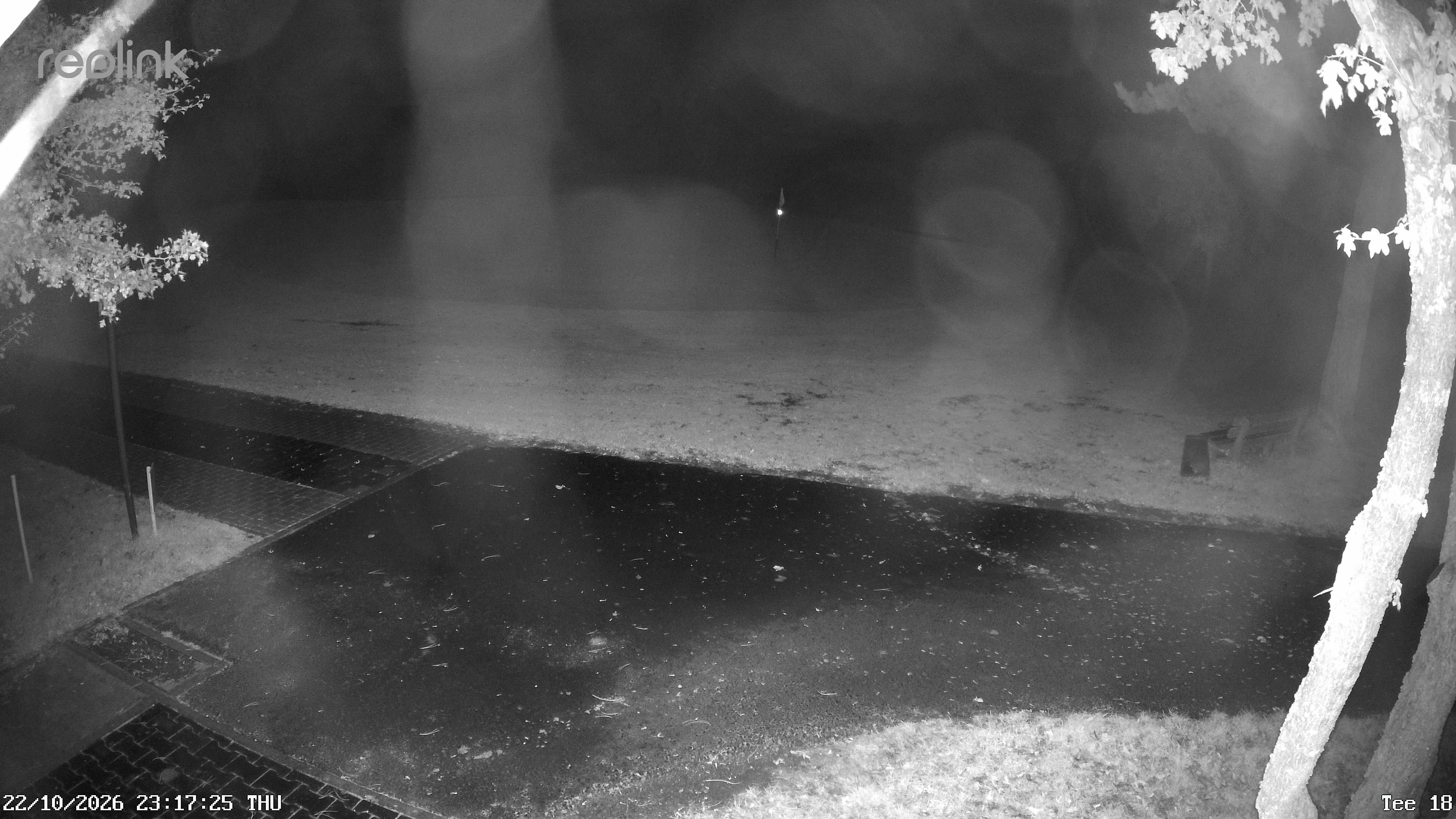 Webcam NVR_01 – Live-Ansicht
