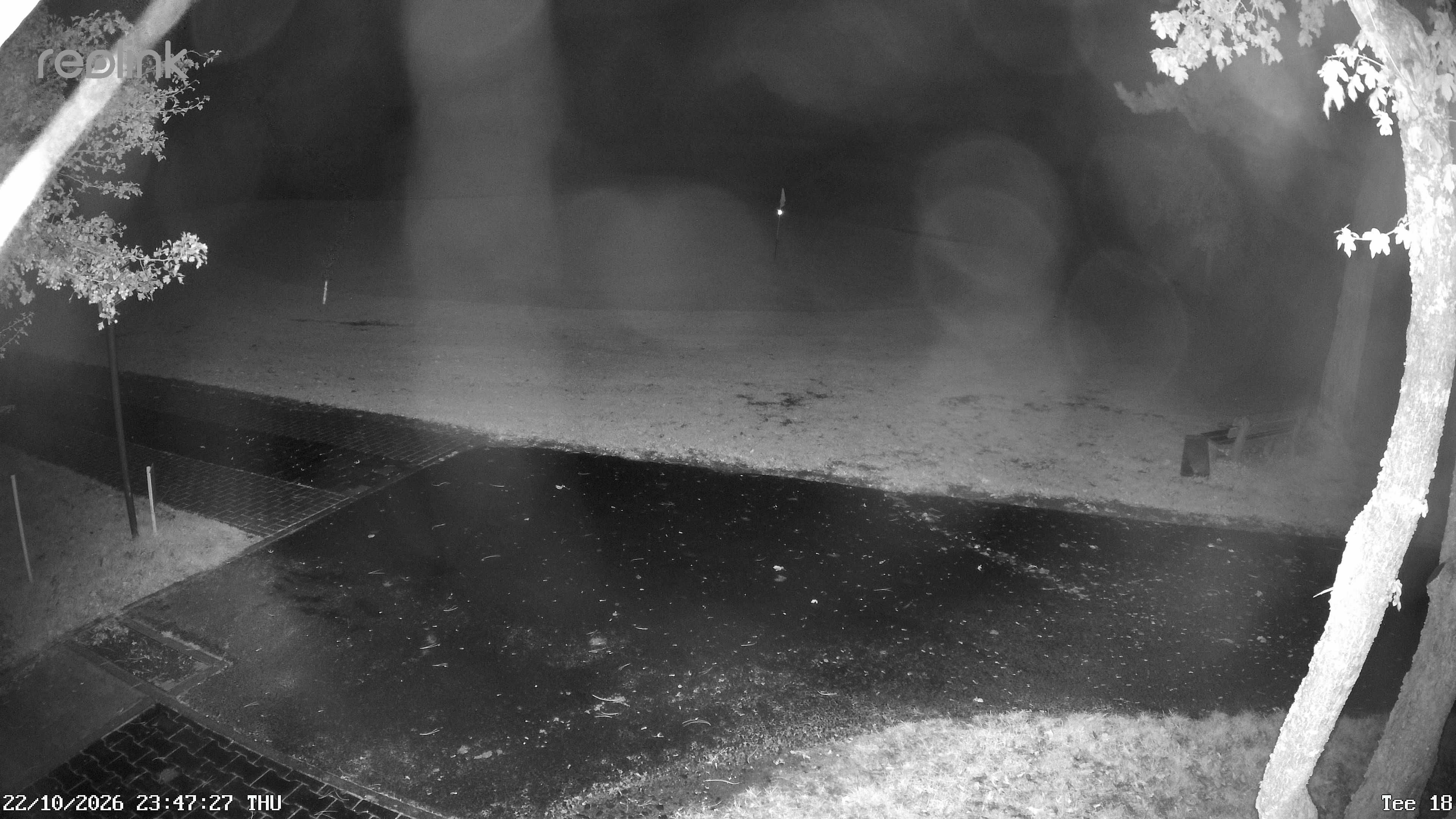 Webcam NVR_01 – Live-Ansicht