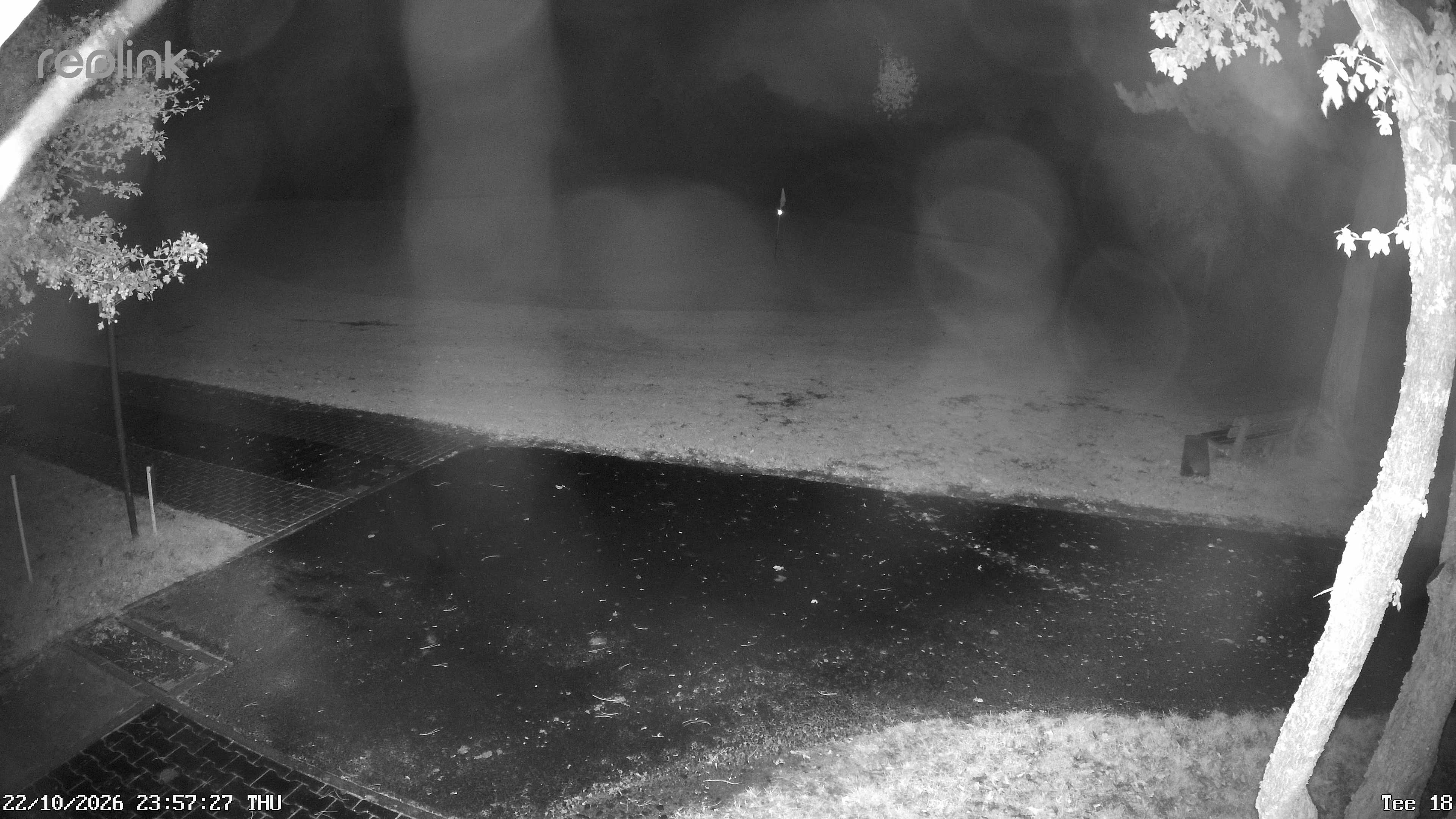 Webcam NVR_01 – Live-Ansicht