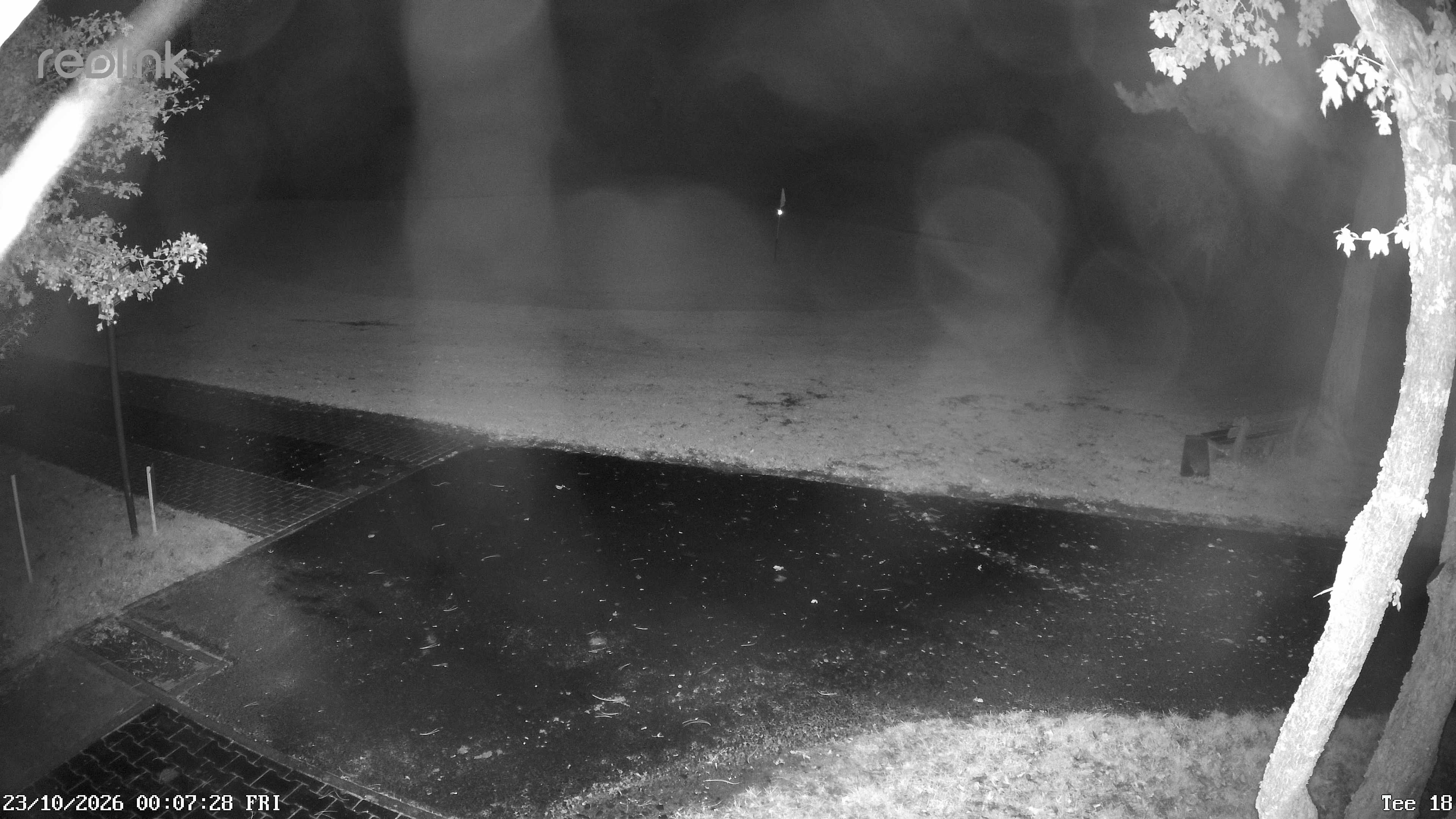 Webcam NVR_01 – Live-Ansicht