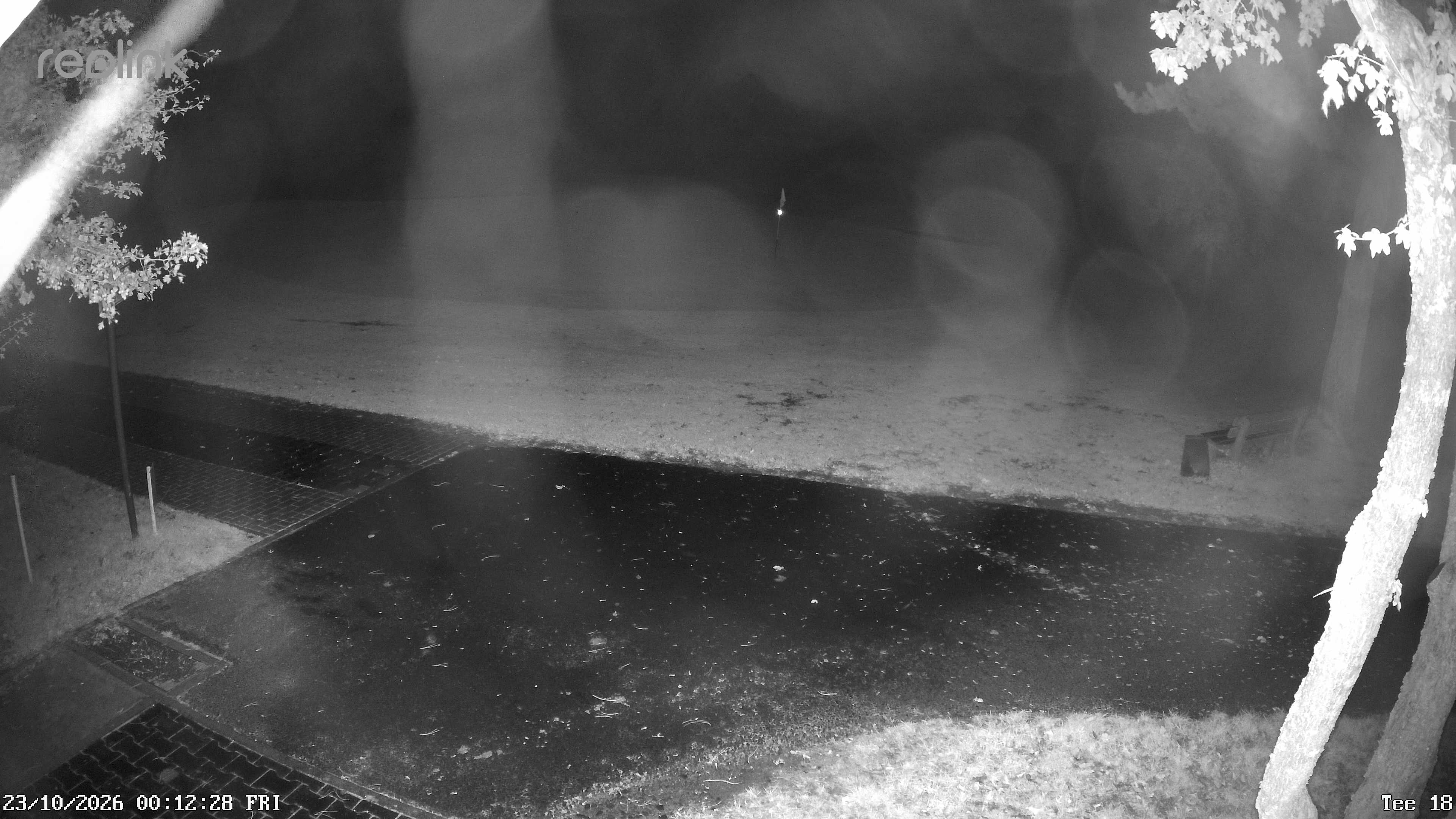Webcam NVR_01 – Live-Ansicht